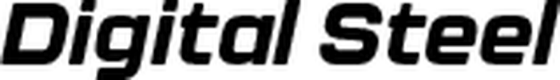 Digital Steel logo